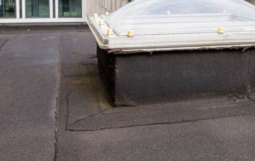 disadvantages of Berrys Green flat roofs