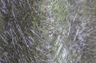 Berrys Green fibreglass roof work